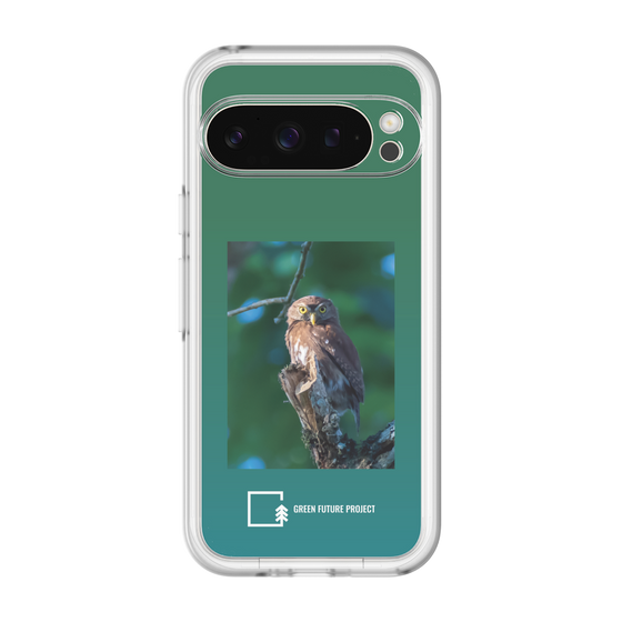 Slim Protection Premium Case［ Green Future Project - Ferruginous Pygmy Owl ］