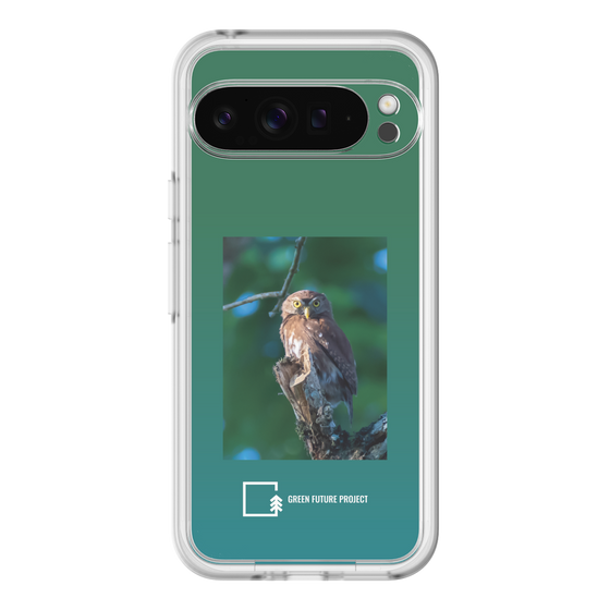 Slim Protection Premium Case［ Green Future Project - Ferruginous Pygmy Owl ］