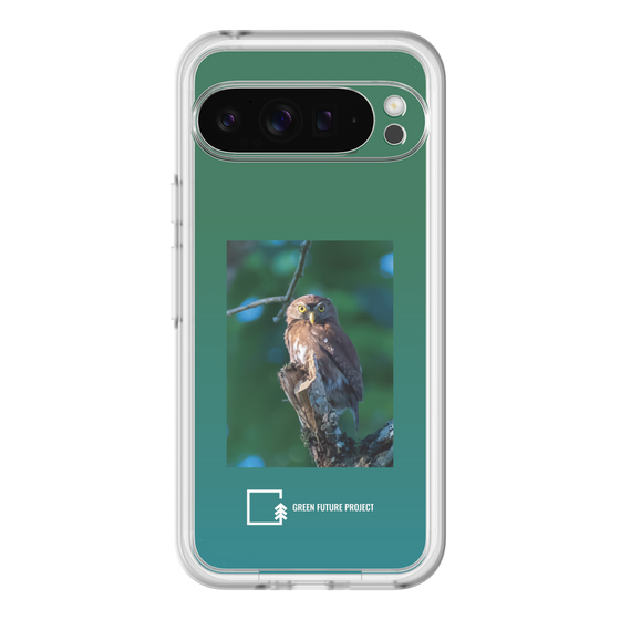 Slim Protection Premium Case［ Green Future Project - Ferruginous Pygmy Owl ］