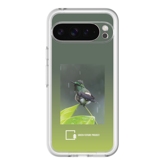 Slim Protection Premium Case［ Green Future Project - Butterfly Coquette ］