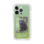 Slim Protection Premium Case［ Green Future Project - Black-mantled Tamarin ］