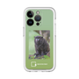 Slim Protection Premium Case［ Green Future Project - Black-mantled Tamarin ］