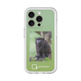Slim Protection Premium Case［ Green Future Project - Black-mantled Tamarin ］