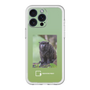 Slim Protection Premium Case［ Green Future Project - Black-mantled Tamarin ］
