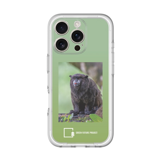 Slim Protection Premium Case［ Green Future Project - Black-mantled Tamarin ］
