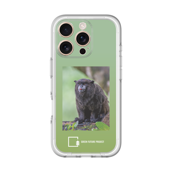 Slim Protection Premium Case［ Green Future Project - Black-mantled Tamarin ］