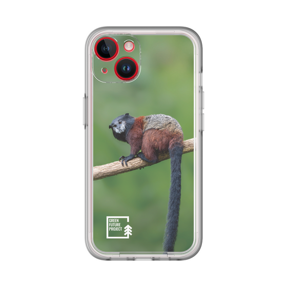 Slim Protection Premium Case［ Green Future Project - Saddle-backTamarin ］