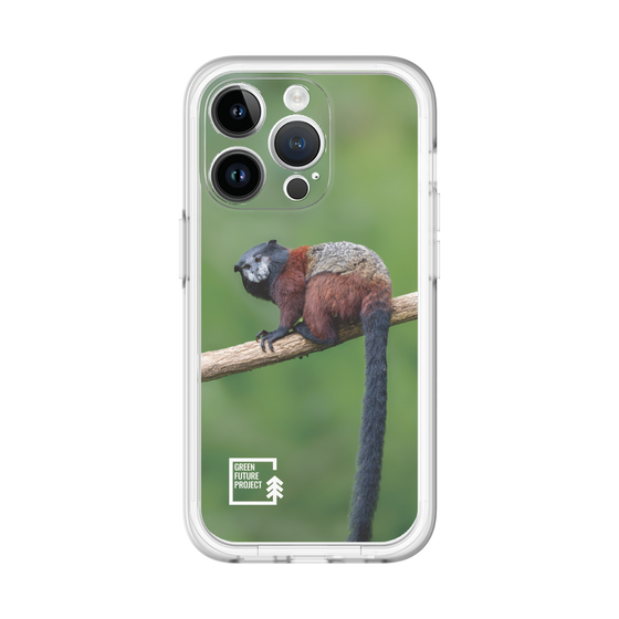 Slim Protection Premium Case［ Green Future Project - Saddle-backTamarin ］