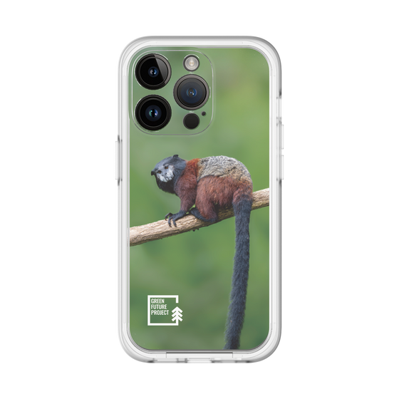 Slim Protection Premium Case［ Green Future Project - Saddle-backTamarin ］