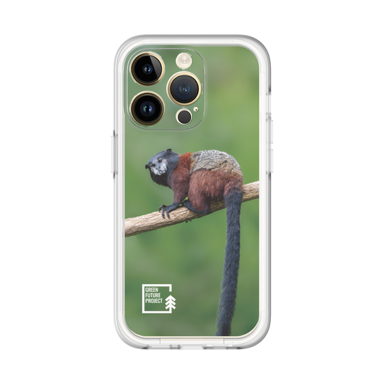 Slim Protection Premium Case［ Green Future Project - Saddle-backTamarin ］