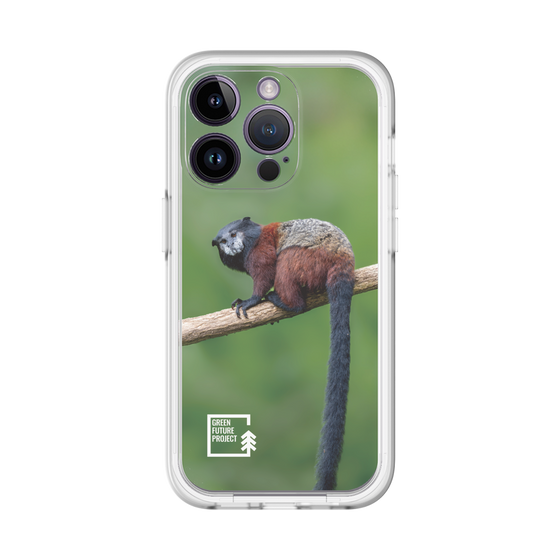 Slim Protection Premium Case［ Green Future Project - Saddle-backTamarin ］