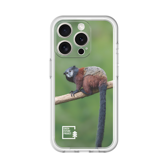 Slim Protection Premium Case［ Green Future Project - Saddle-backTamarin ］