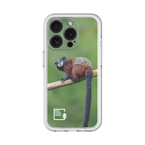 Slim Protection Premium Case［ Green Future Project - Saddle-backTamarin ］
