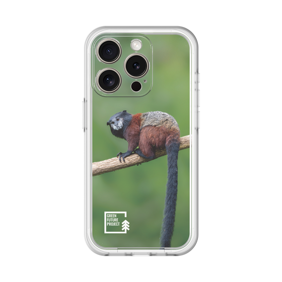 Slim Protection Premium Case［ Green Future Project - Saddle-backTamarin ］
