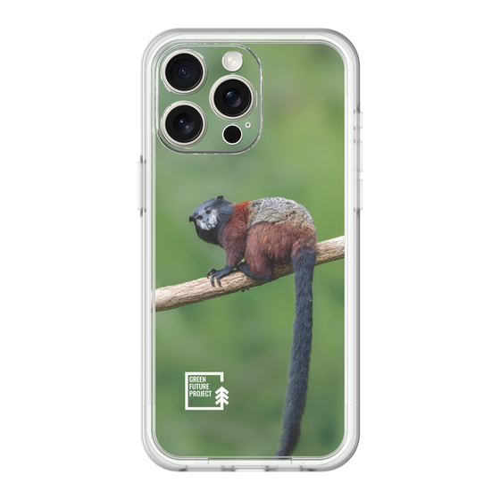 Slim Protection Premium Case［ Green Future Project - Saddle-backTamarin ］
