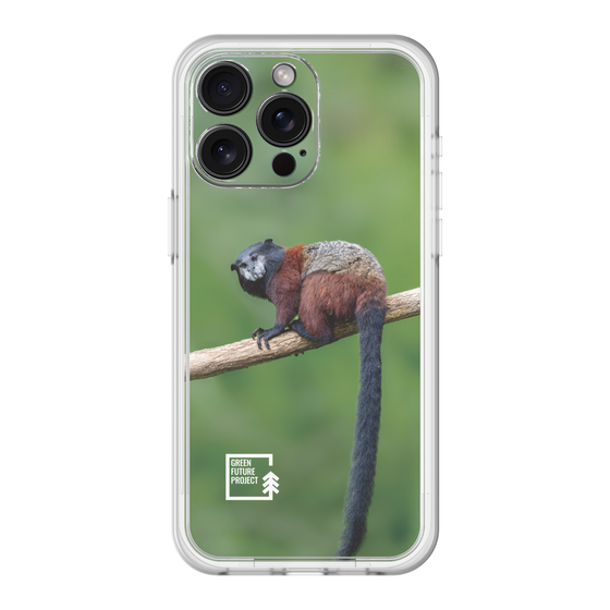 Slim Protection Premium Case［ Green Future Project - Saddle-backTamarin ］