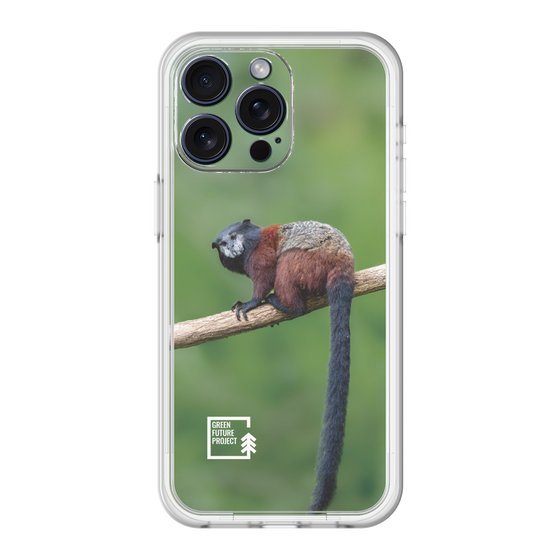 Slim Protection Premium Case［ Green Future Project - Saddle-backTamarin ］