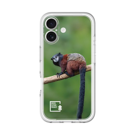 Slim Protection Premium Case［ Green Future Project - Saddle-backTamarin ］