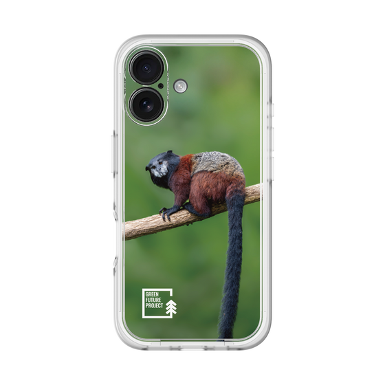 Slim Protection Premium Case［ Green Future Project - Saddle-backTamarin ］
