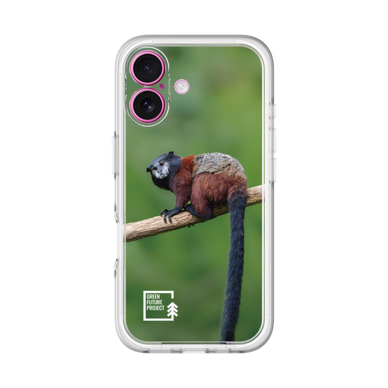 Slim Protection Premium Case［ Green Future Project - Saddle-backTamarin ］
