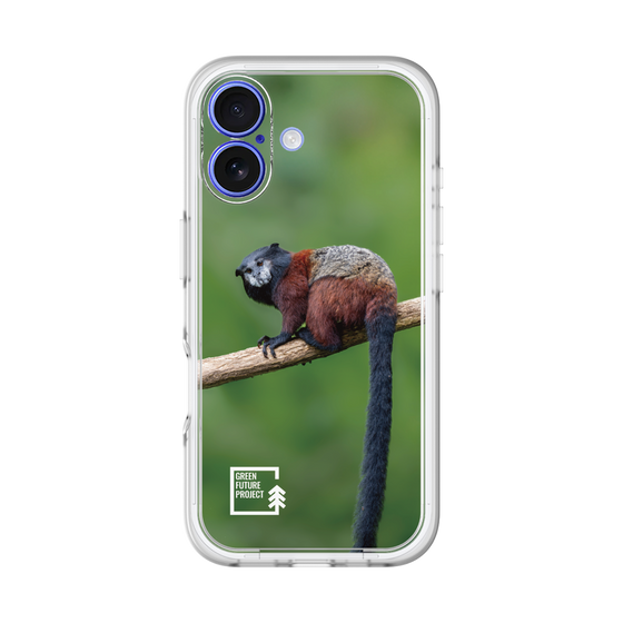 Slim Protection Premium Case［ Green Future Project - Saddle-backTamarin ］