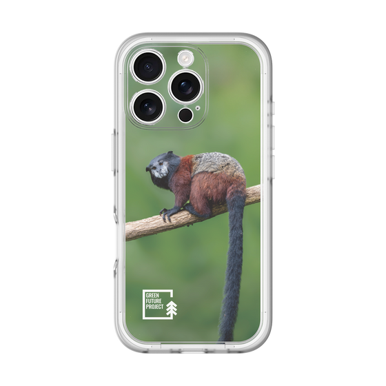 Slim Protection Premium Case［ Green Future Project - Saddle-backTamarin ］