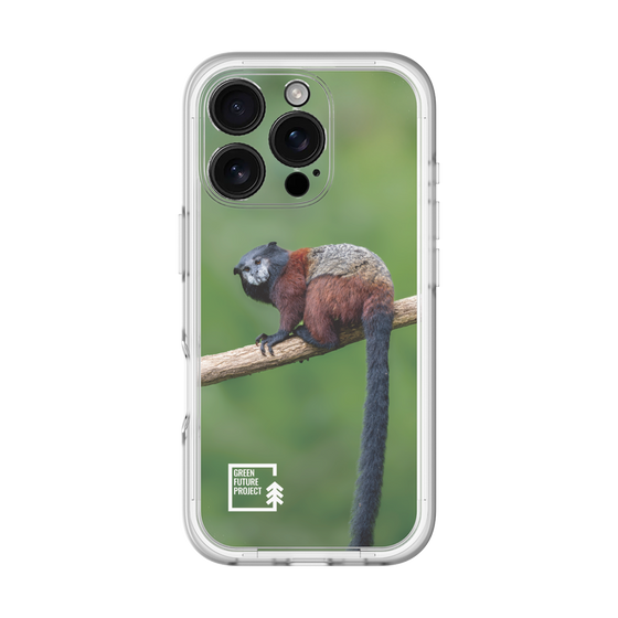 Slim Protection Premium Case［ Green Future Project - Saddle-backTamarin ］