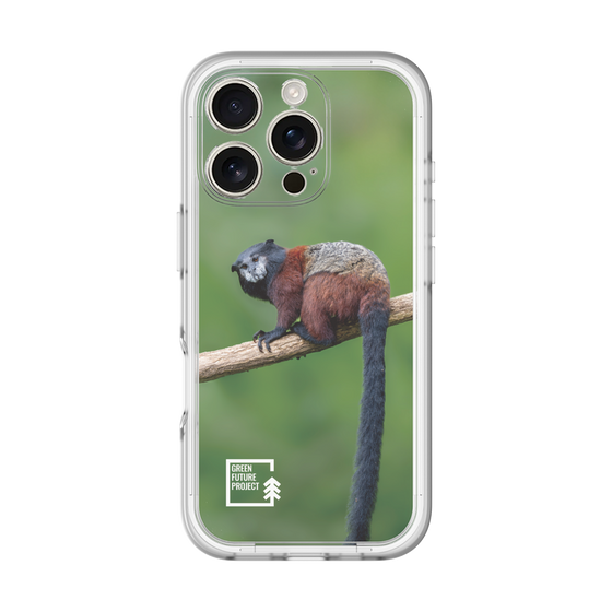 Slim Protection Premium Case［ Green Future Project - Saddle-backTamarin ］