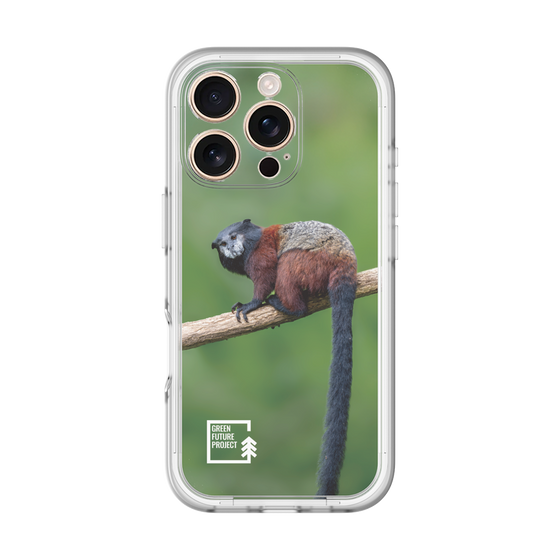 Slim Protection Premium Case［ Green Future Project - Saddle-backTamarin ］