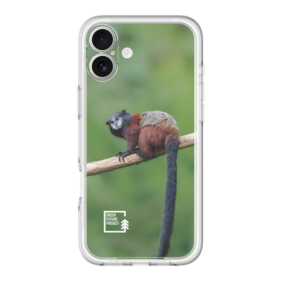 Slim Protection Premium Case［ Green Future Project - Saddle-backTamarin ］