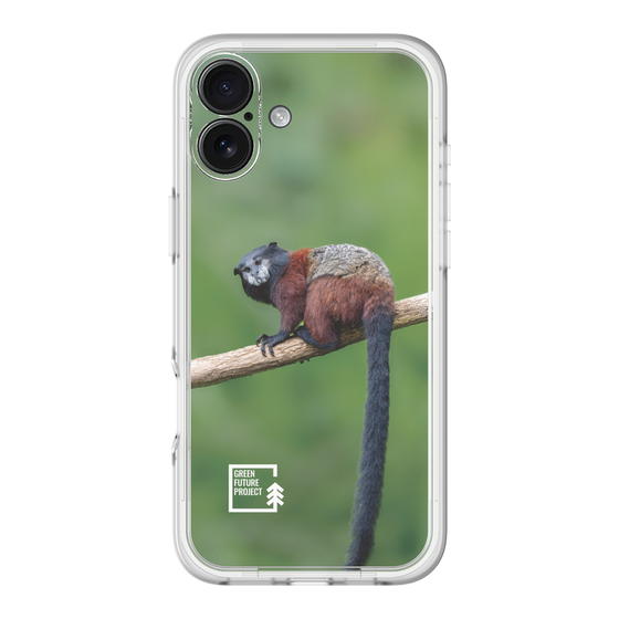 Slim Protection Premium Case［ Green Future Project - Saddle-backTamarin ］