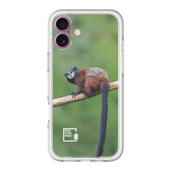 Slim Protection Premium Case［ Green Future Project - Saddle-backTamarin ］