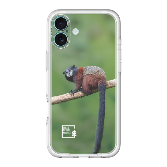 Slim Protection Premium Case［ Green Future Project - Saddle-backTamarin ］