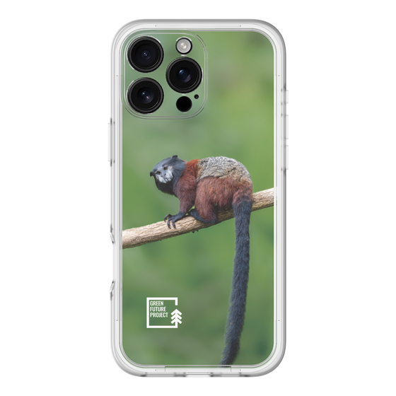 Slim Protection Premium Case［ Green Future Project - Saddle-backTamarin ］