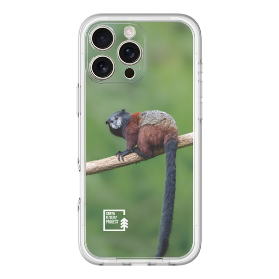 Slim Protection Premium Case［ Green Future Project - Saddle-backTamarin ］