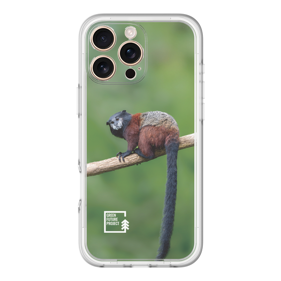 Slim Protection Premium Case［ Green Future Project - Saddle-backTamarin ］
