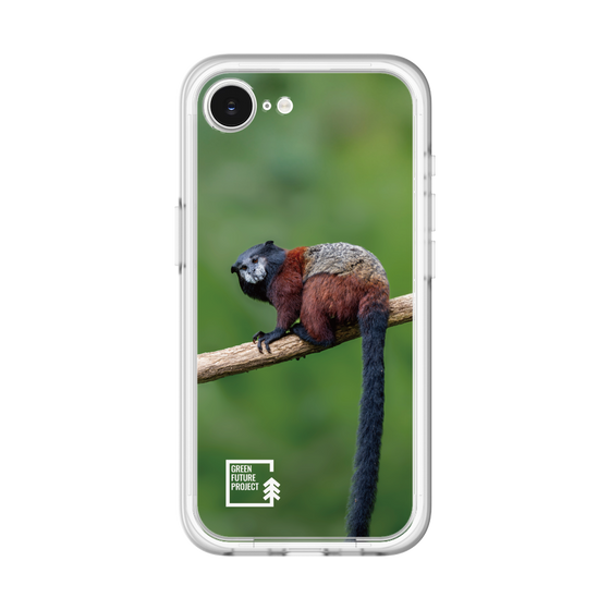 Slim Protection Premium Case［ Green Future Project - Saddle-backTamarin ］