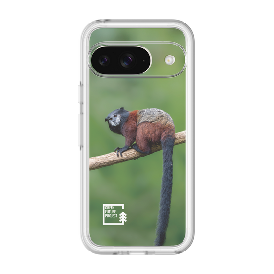 Slim Protection Premium Case［ Green Future Project - Saddle-backTamarin ］