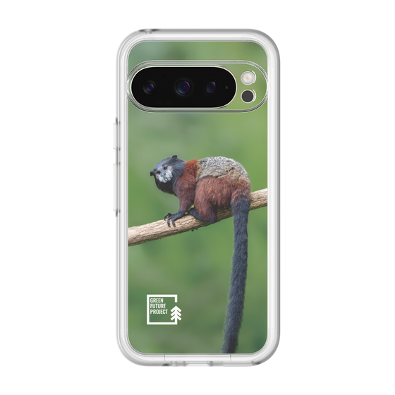 Slim Protection Premium Case［ Green Future Project - Saddle-backTamarin ］