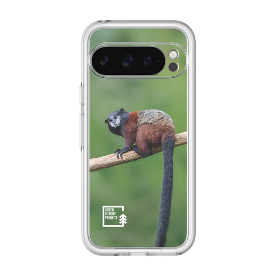 Slim Protection Premium Case［ Green Future Project - Saddle-backTamarin ］