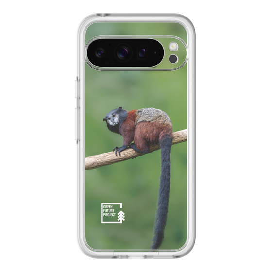 Slim Protection Premium Case［ Green Future Project - Saddle-backTamarin ］