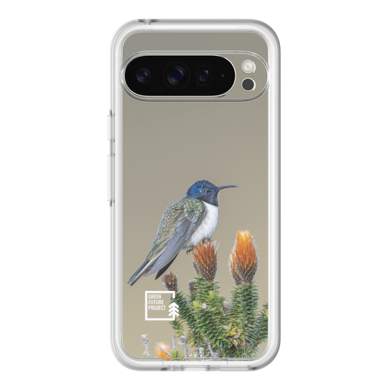 Slim Protection Premium Case［ Green Future Project - Ecuadorian Hillstar ］