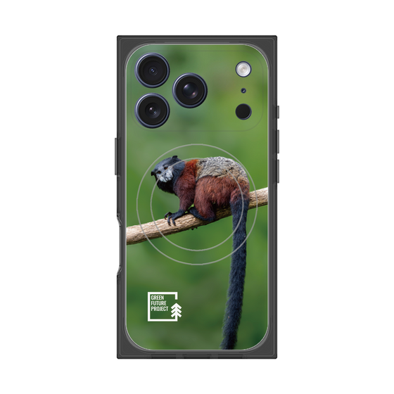 Premium Square Case with MagSafe［ Green Future Project - Saddle-backTamarin ］