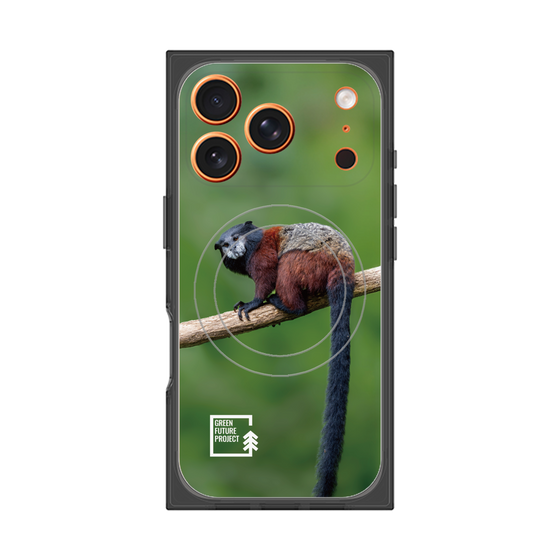 Premium Square Case with MagSafe［ Green Future Project - Saddle-backTamarin ］