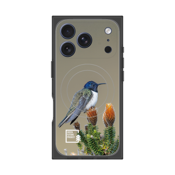 Premium Square Case with MagSafe［ Green Future Project - Ecuadorian Hillstar ］