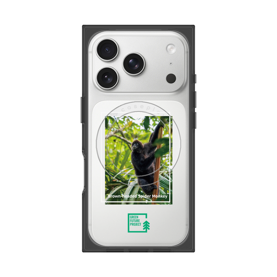 Premium Square Case with MagSafe［ Green Future Project - Brown-headed Spider Monkey ］