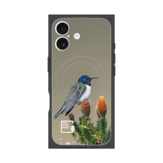 Premium Square Case with MagSafe［ Green Future Project - Ecuadorian Hillstar ］