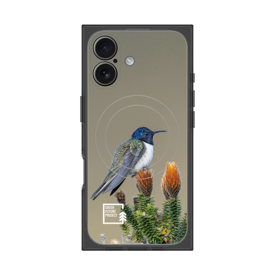 Premium Square Case with MagSafe［ Green Future Project - Ecuadorian Hillstar ］