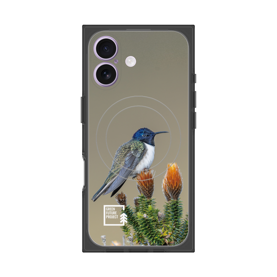 Premium Square Case with MagSafe［ Green Future Project - Ecuadorian Hillstar ］