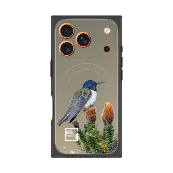 Premium Square Case with MagSafe［ Green Future Project - Ecuadorian Hillstar ］